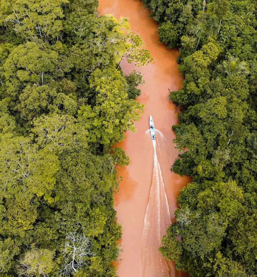 Aerial view of a boat on a river through the Amazon rainforest