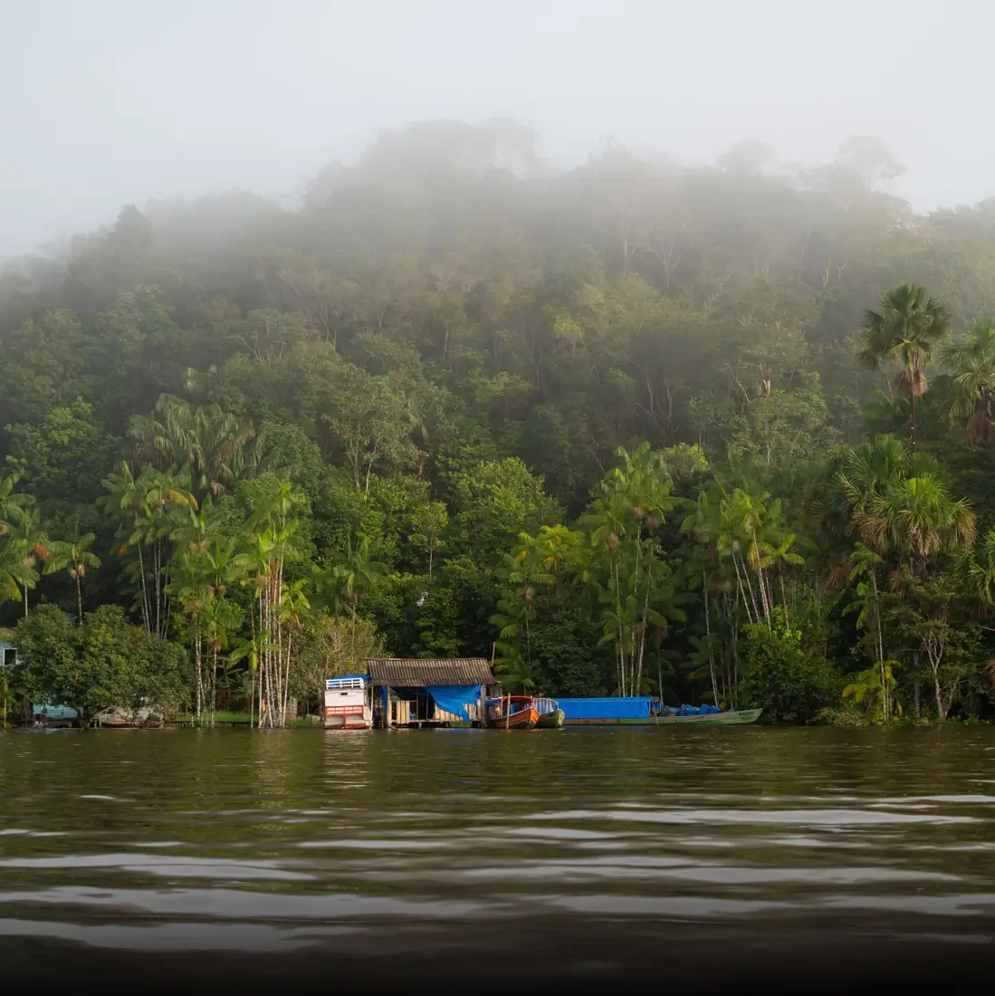 The Amazon, Brazil